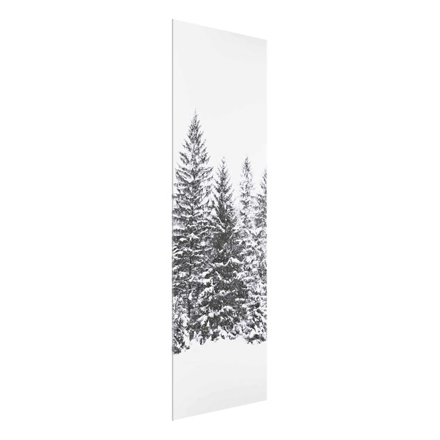 Glass print - Dark Winter Landscape