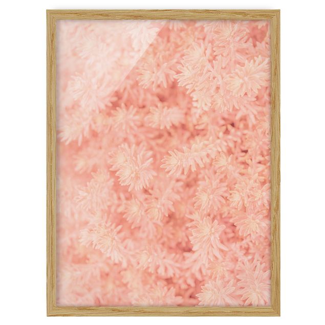 Framed poster - Rosemary Light Pink