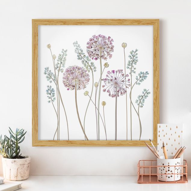Framed poster - Allium Illustration