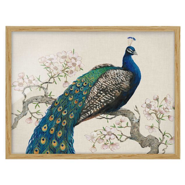 Framed poster - Vintage Peacock With Cherry Blossoms