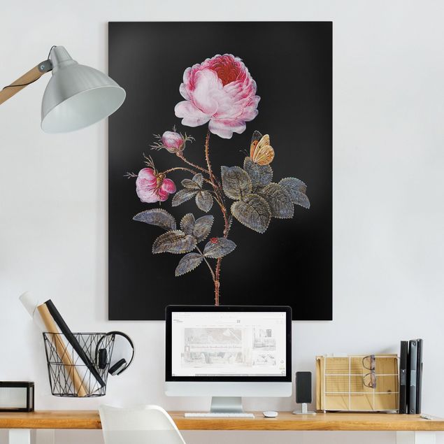 Print on canvas - Barbara Regina Dietzsch - The Hundred-Petalled Rose