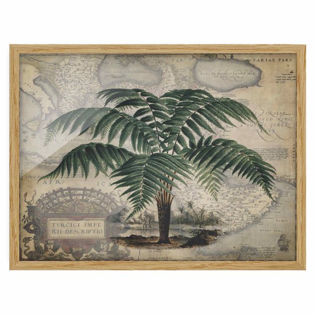 Framed poster - Vintage Collage - Palm And World Map