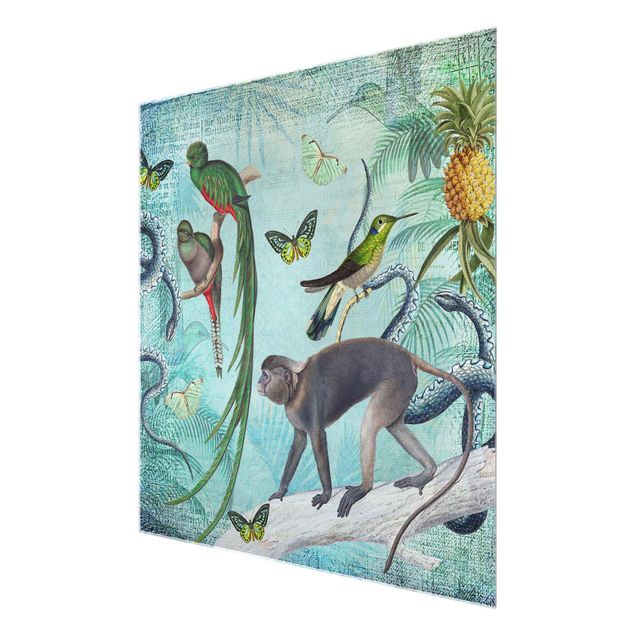 Glass print - Colonial Style Collage - Monkeys And Birds Of Paradise