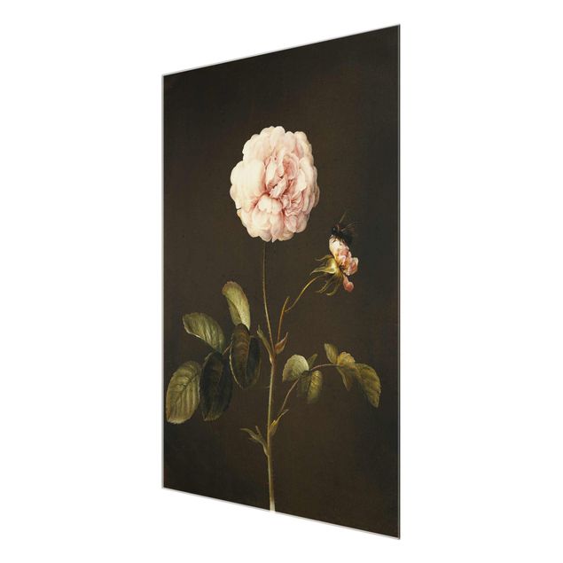 Glass print - Barbara Regina Dietzsch - French Rose With Bumblbee