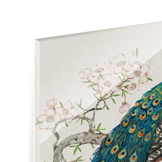 Glass print - Vintage Peacock With Cherry Blossoms