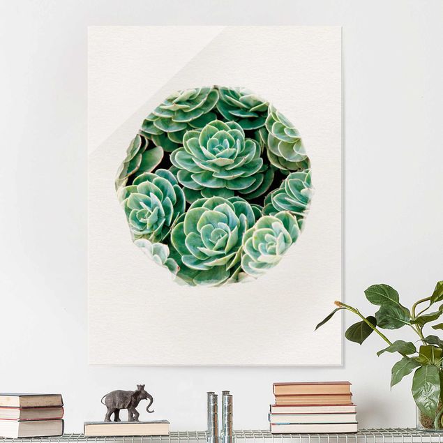 Glass print - Water Colours - Green Succulents