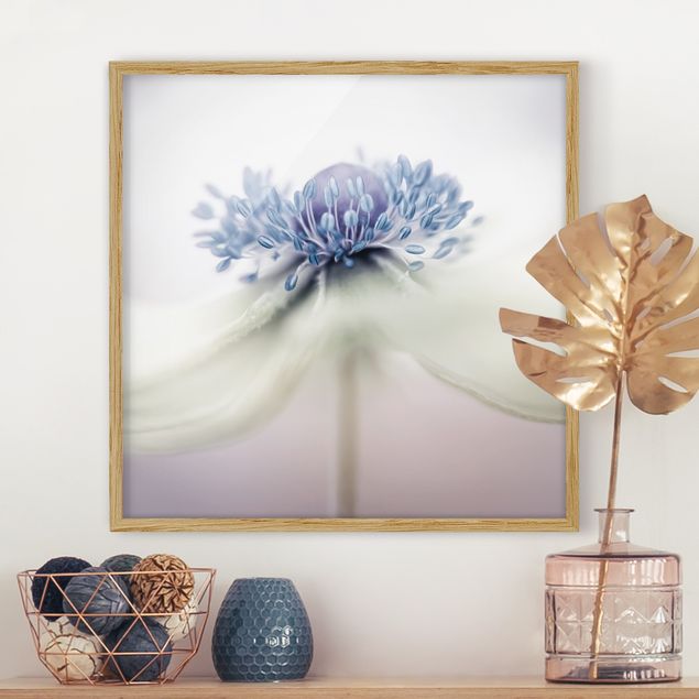 Framed poster - Anemone in Purple