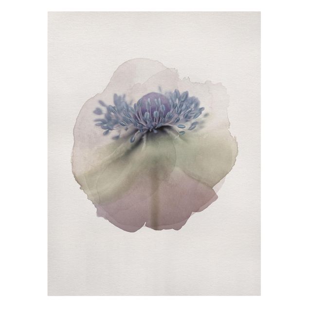 Canvas print - WaterColours - Anemone In Violet