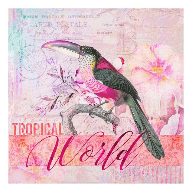 Glass print - Vintage Collage - Tropical World Tucan