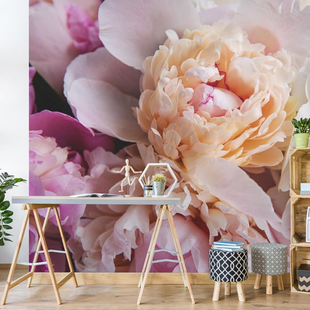 Wallpaper - Blooming Peonies