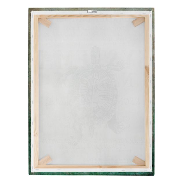 Print on canvas - Vintage Collage - Antique Turtle