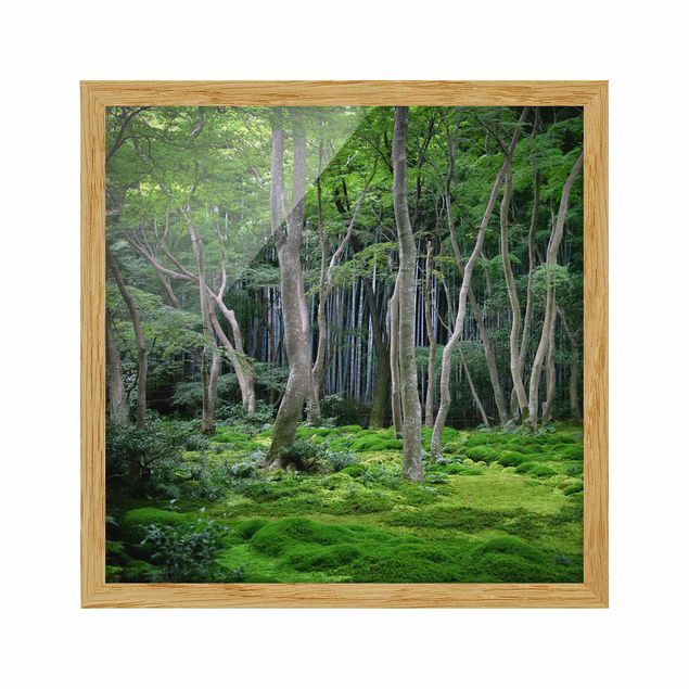 Framed poster - Japanese Forest