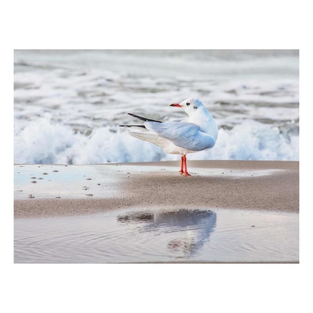 Glass print - Seagull On The Beach In Front Of The Sea