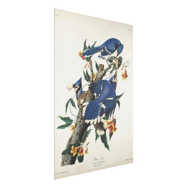 Glass print - Vintage Board Blue Jays