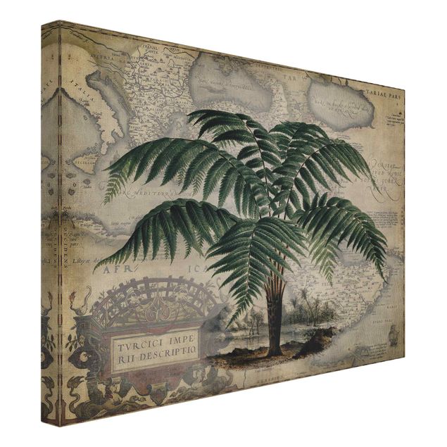 Print on canvas - Vintage Collage - Palm And World Map