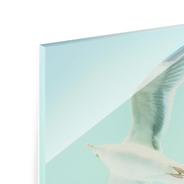 Glass print - Blue Sky With Seagull