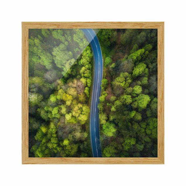 Framed poster - Aerial View - Asphalt Road In The Forest