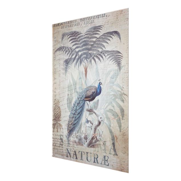 Glass print - Shabby Chic Collage - Peacock