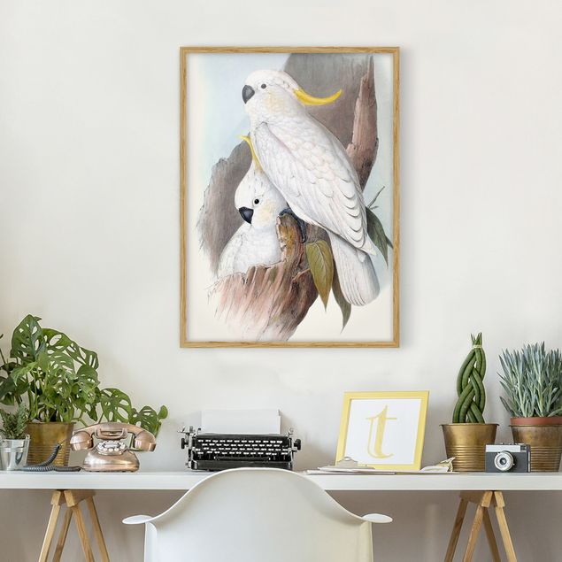 Framed poster - Pastel Parrots III
