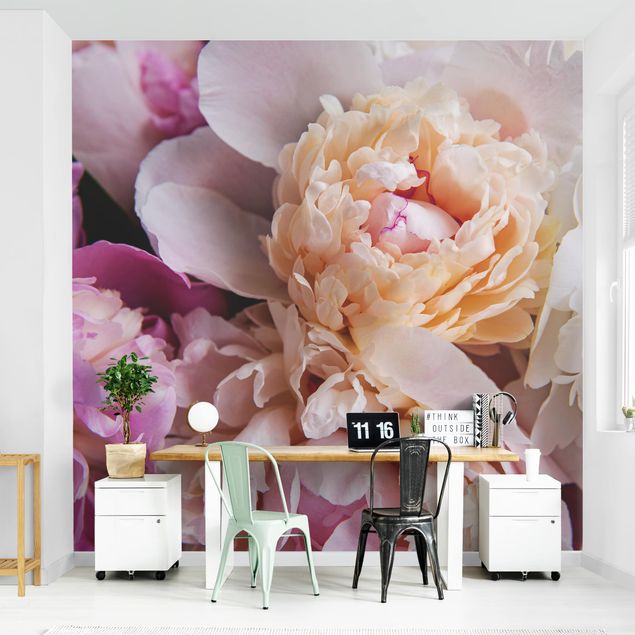 Wallpaper - Blooming Peonies