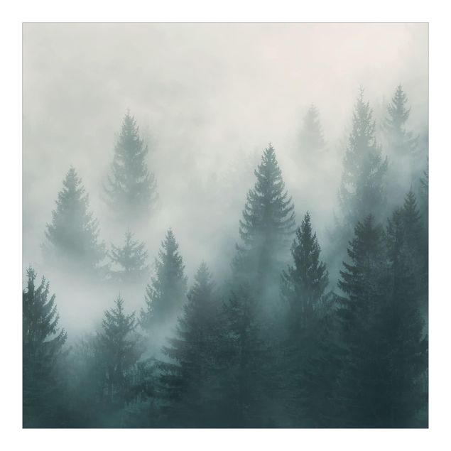 Wallpaper landscape - Coniferous Forest In Fog