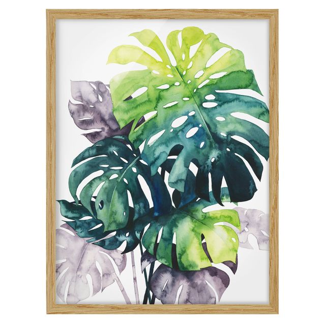 Framed poster - Exotic Foliage - Monstera