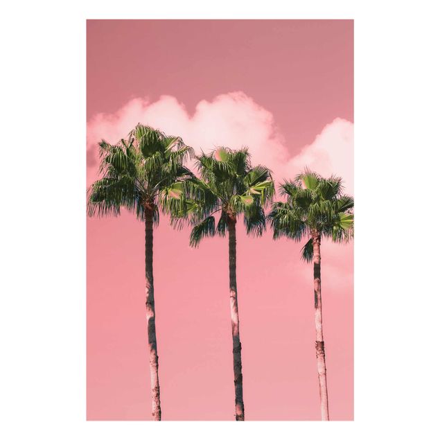 Glass print - Palm Trees Against Sky Pink