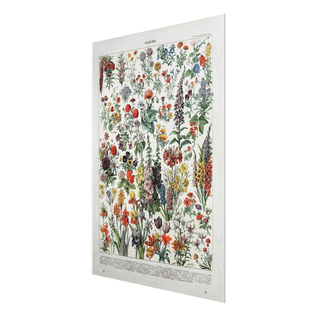 Glass print - Vintage Board Flowers IV