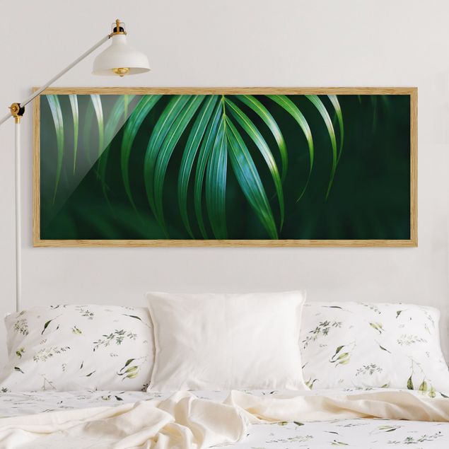 Framed poster - Palm Fronds