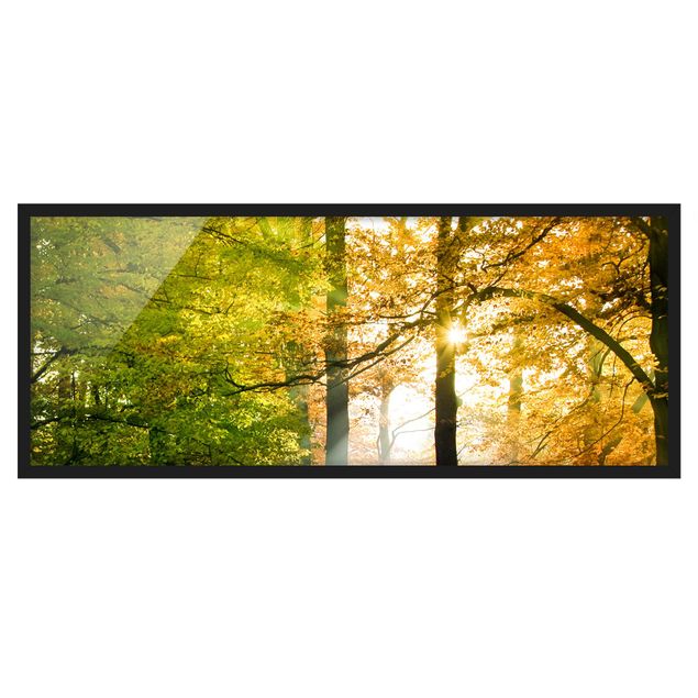 Framed poster - Morning Light