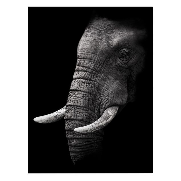 Print on canvas - Dark Elephant Portrait