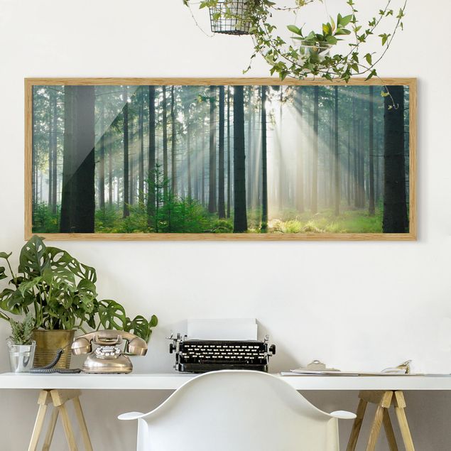 Framed poster - Enlightened Forest