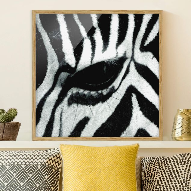 Framed poster - Zebra Crossing