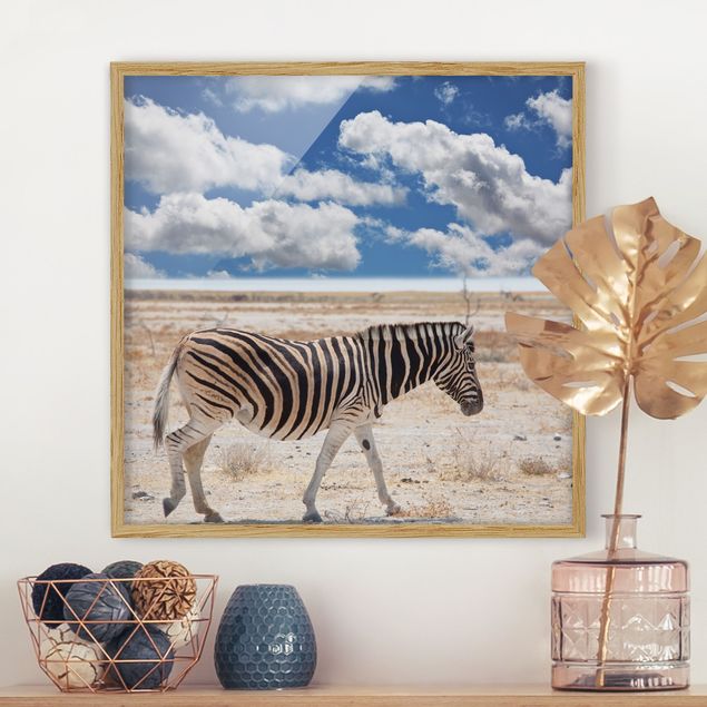 Framed poster - Zebra In The Savannah