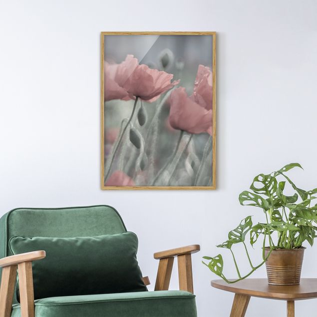 Framed poster - Picturesque Poppy