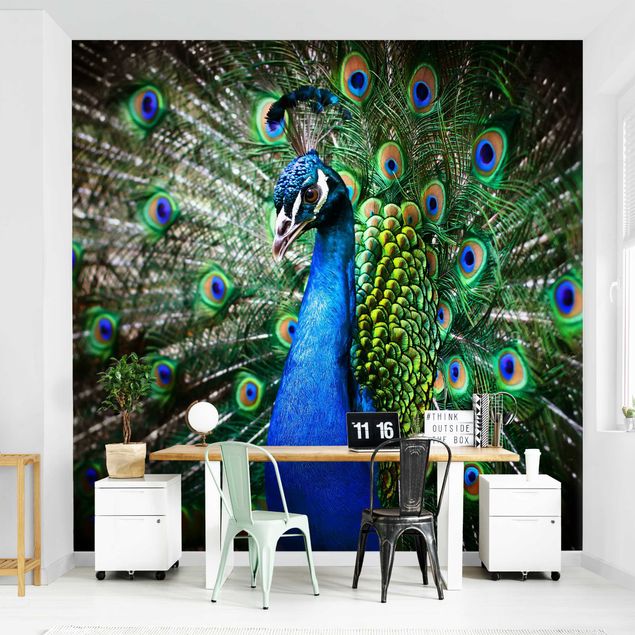 Wallpaper - Noble Peacock