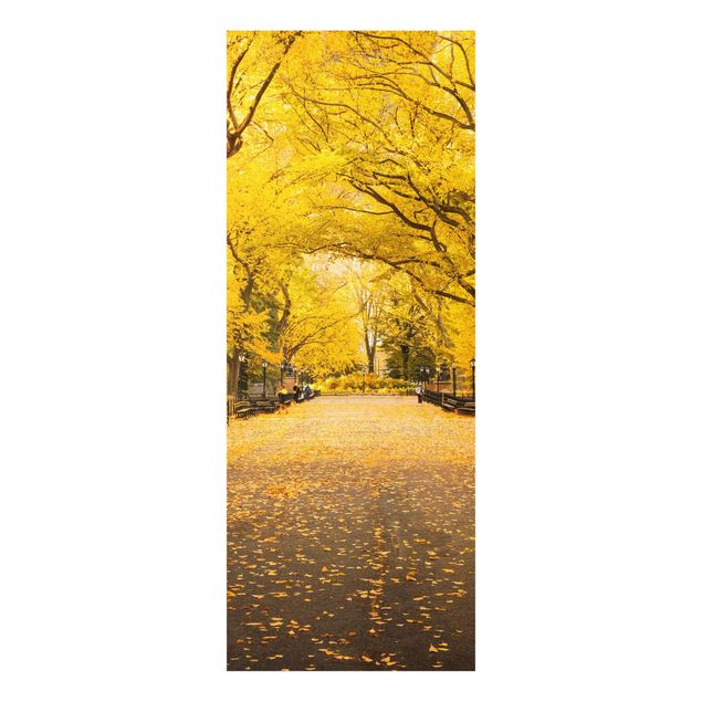 Glass print - Autumn In Central Park