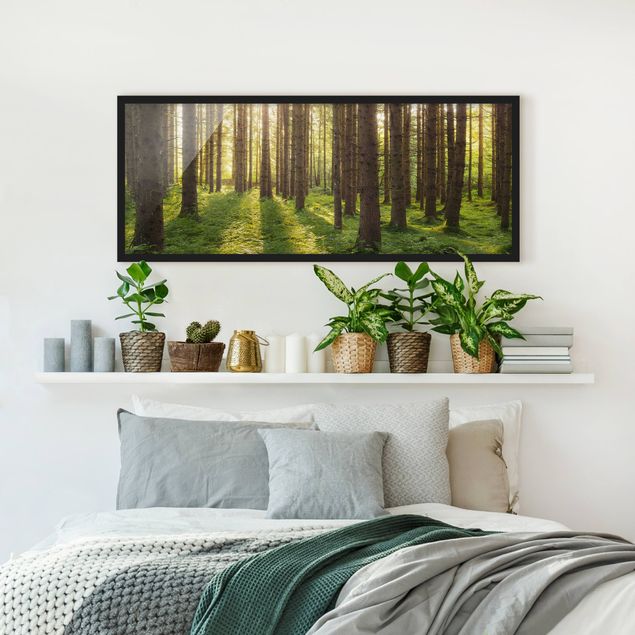 Framed poster - Sun Rays In Green Forest