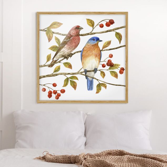 Framed poster - Birds And Berries - Bluebird
