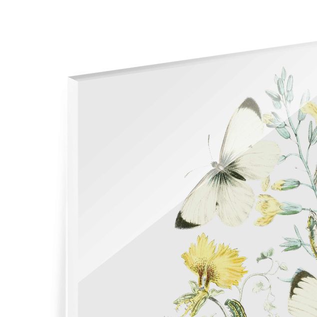 Glass print - British Butterflies II