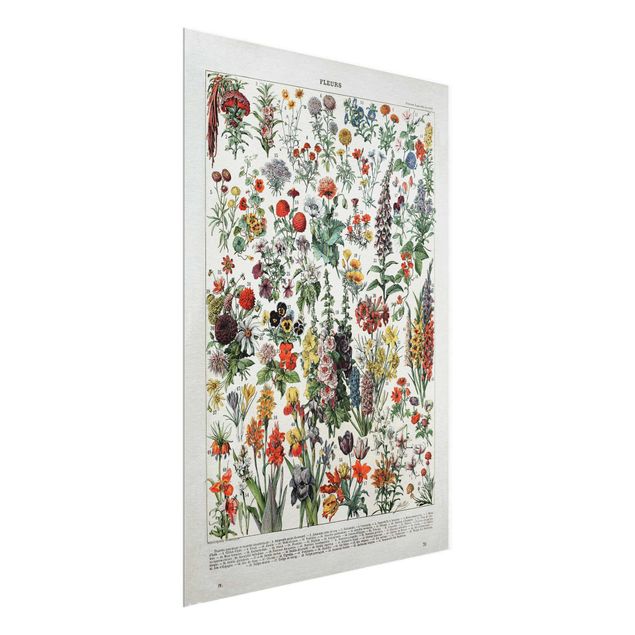 Glass print - Vintage Board Flowers IV