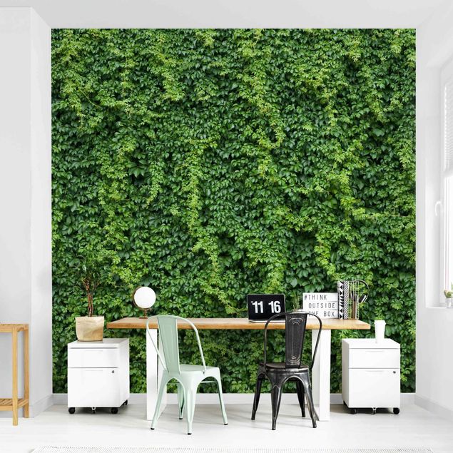 Wallpaper - Ivy