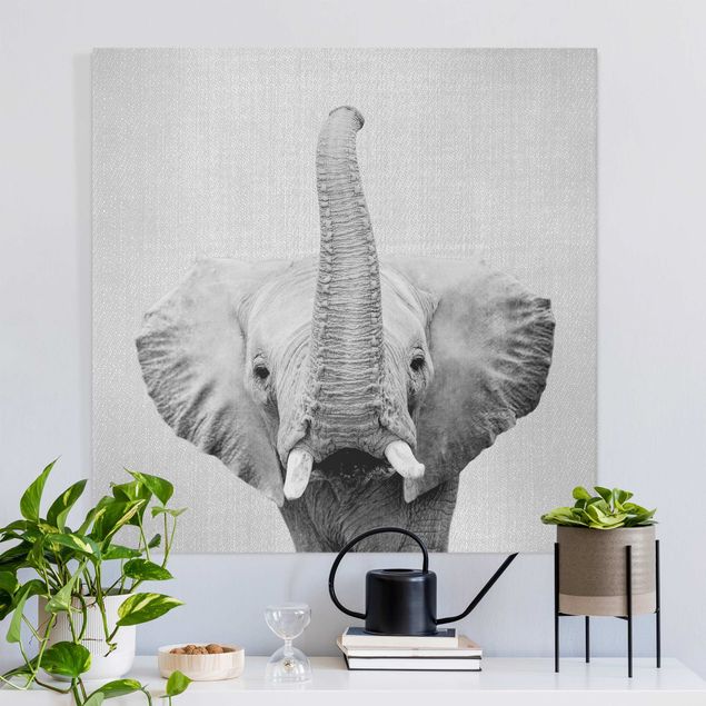 Canvas print - Elephant Ewald Black And White - Square 1:1