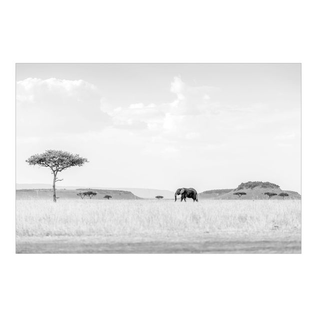Wallpaper - Elephant In Vast Savannah Black And White