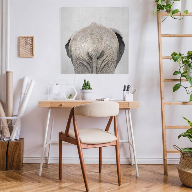 Canvas print - Elephant From Behind - Square 1:1
