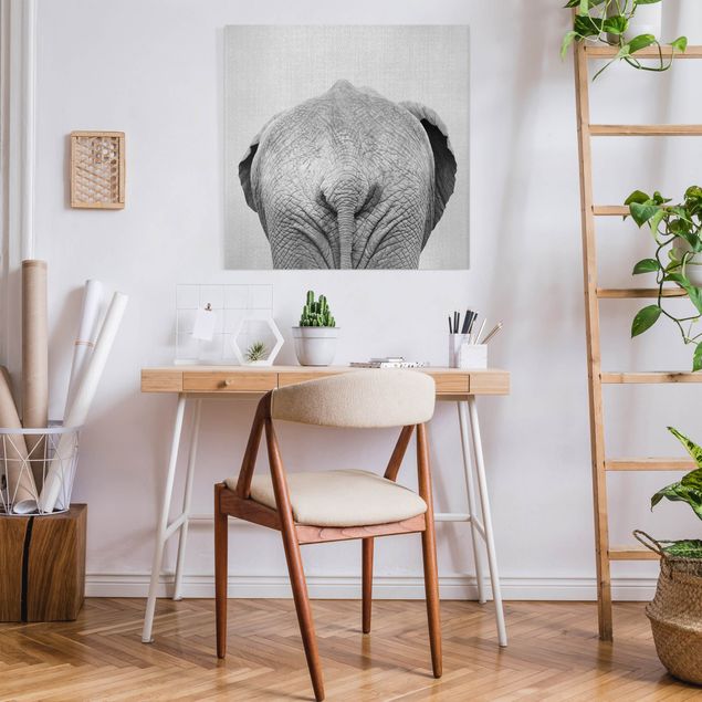 Canvas print - Elephant From Behind Black And White - Square 1:1