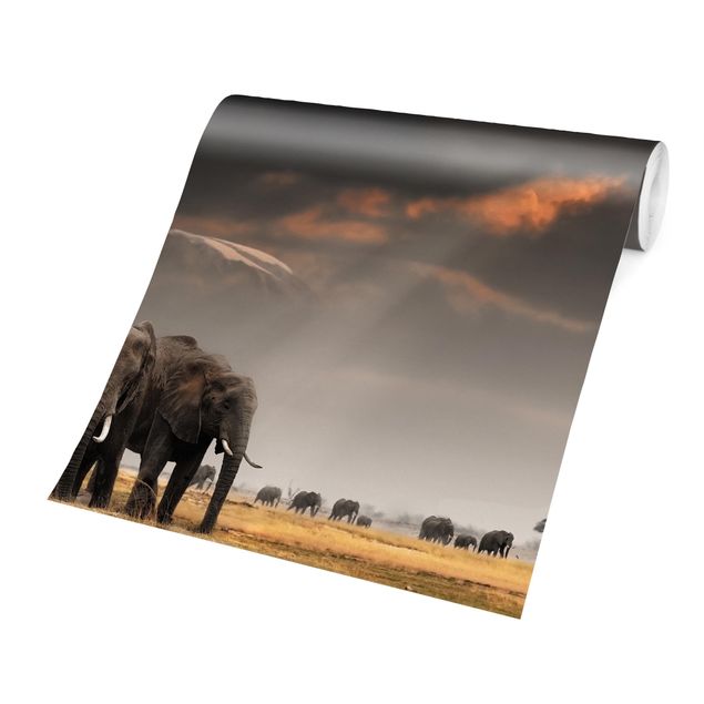 Wallpaper - Elephants in the Savannah