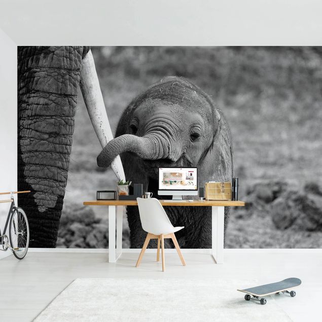 Wallpaper - Baby Elephant