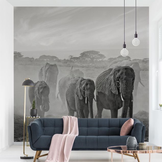 Wallpapers Herd Of Elephants