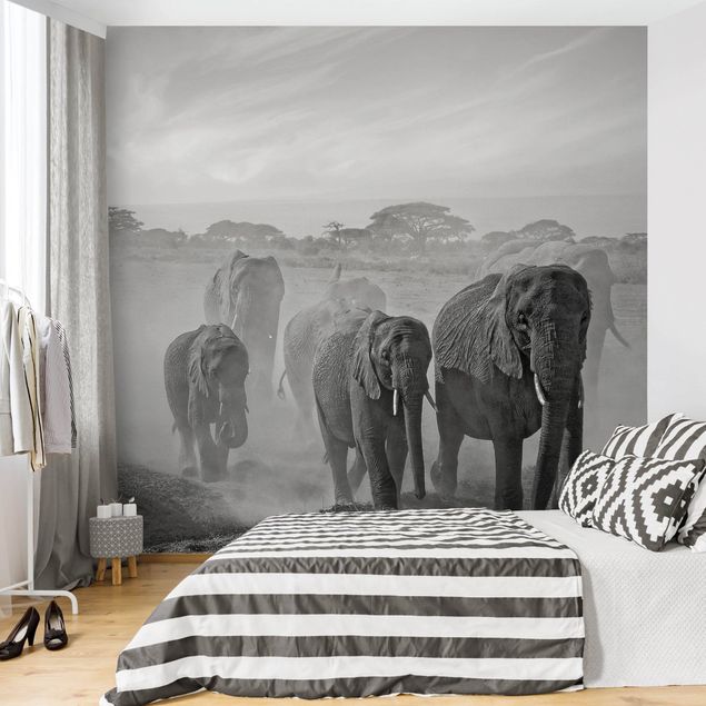 Wallpaper - Herd Of Elephants